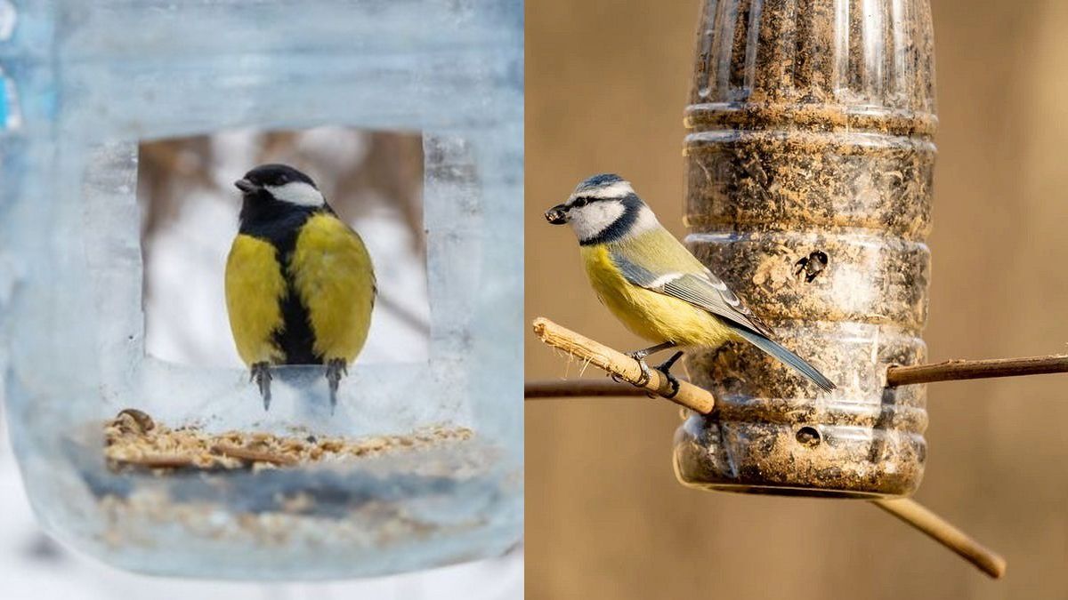 Як власноруч зробити годівничку 3