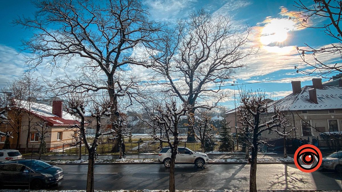 Тепліше на 5°: погода у Коломиї 7 грудня