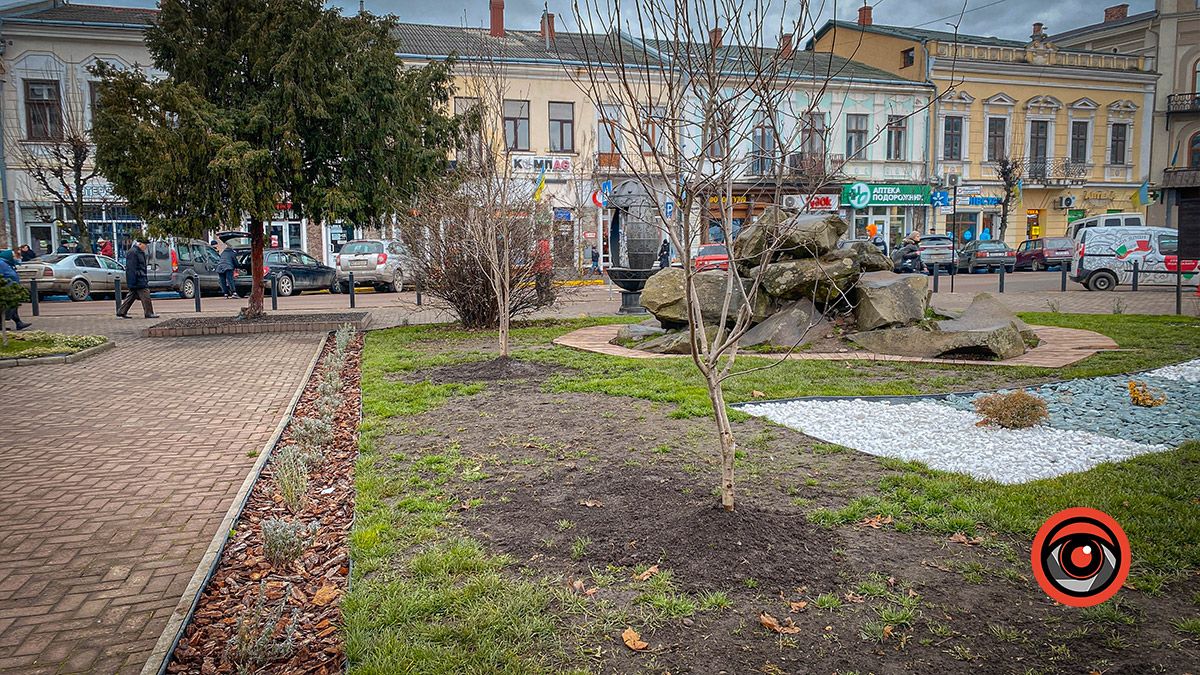 Новий гість в центрі Коломиї 1