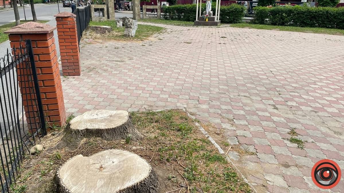 10 місяців війни: фото і події в Коломиї 15