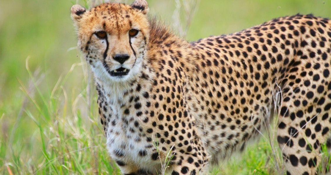 День печива, шкарпеток та коричневого взуття: свята 4 грудня 1