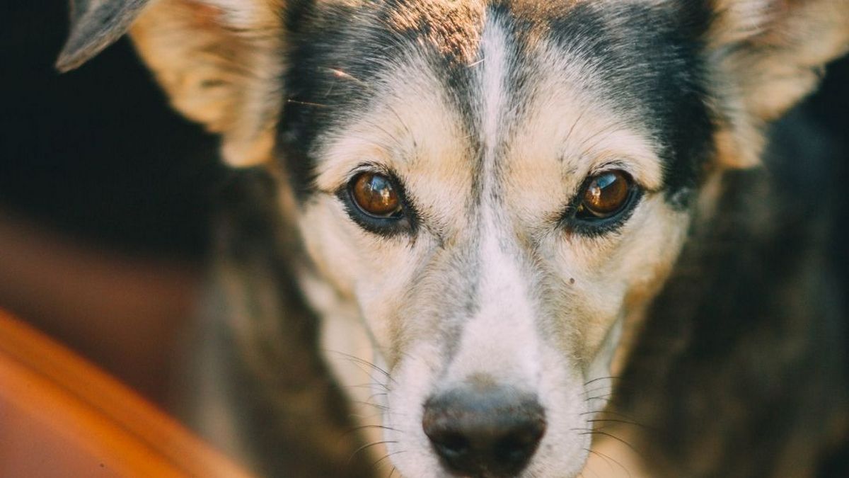10 грудня: цей день в календарі