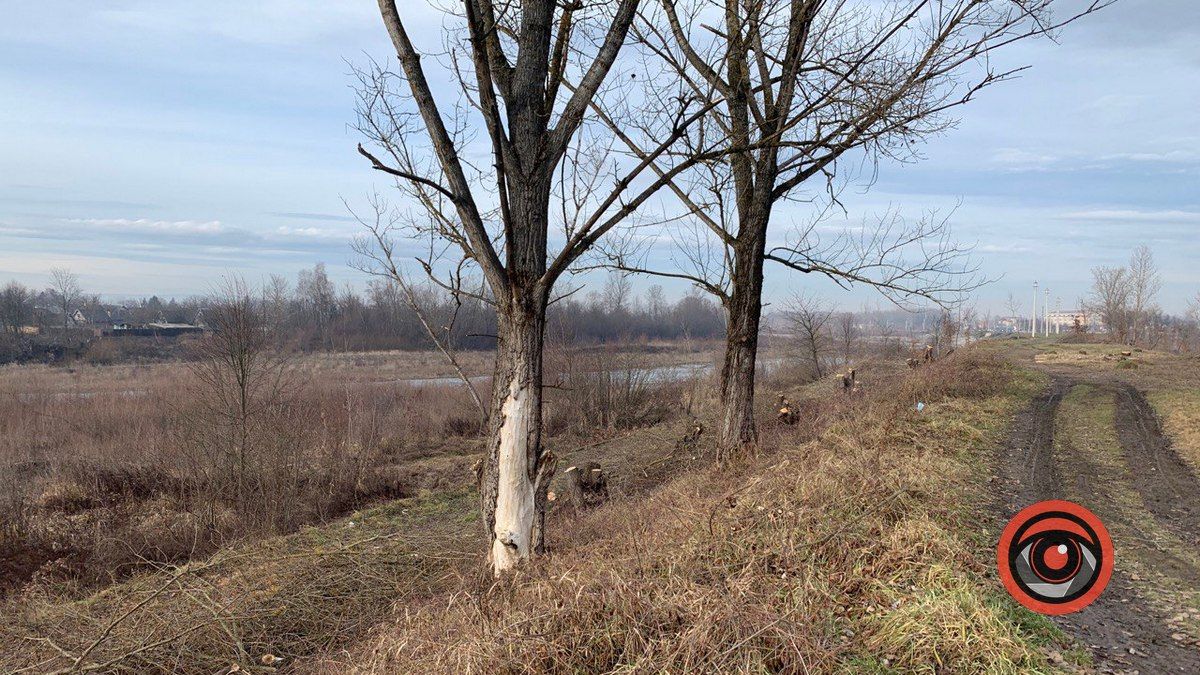 Як зараз виглядає Шевченківське озеро у Коломиї? 3