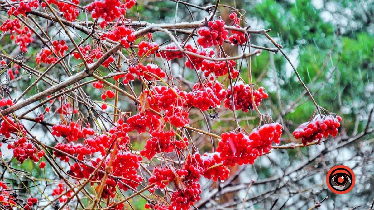 Потепліє: якою буде погода у Коломиї 10 грудня?