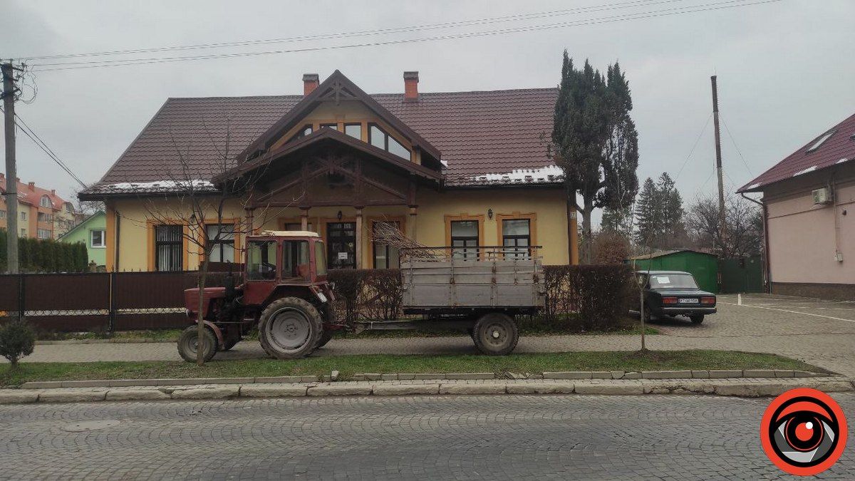 Ще кілька дерев висадили на бульварі в Коломиї 1