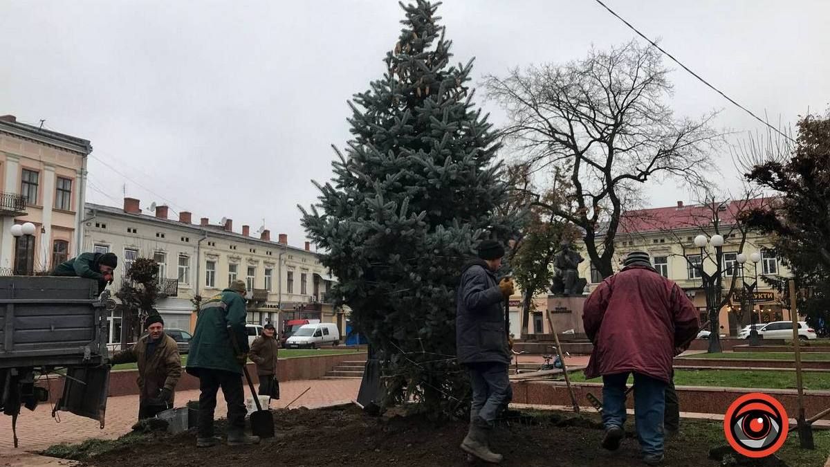 Скільки зрізали й посадили дерев у Коломиї за 2022 рік? 2