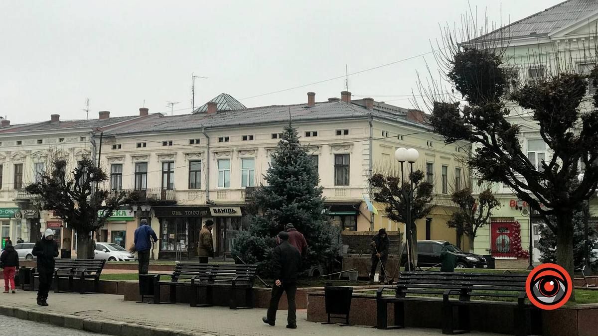 Рік тому зрубали, а тепер посадили: на площі Відродження з'явились дві ялинки 1