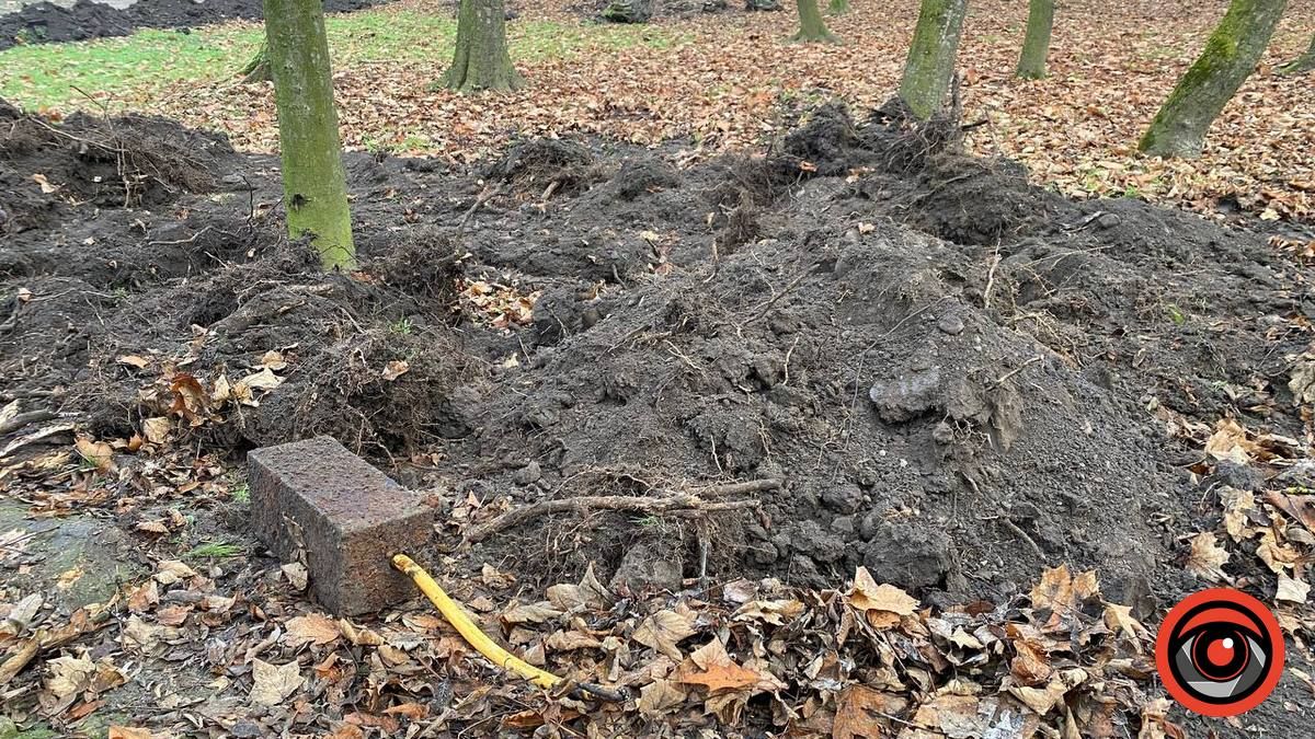 У міському парку Коломиї - траншеї й вирви 6