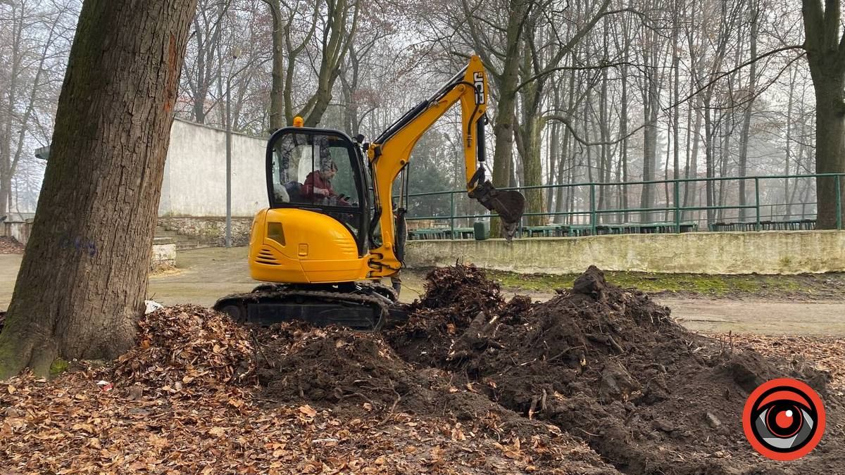 Перекопи у міському парку Коломиї нищать дерева і порушують закон