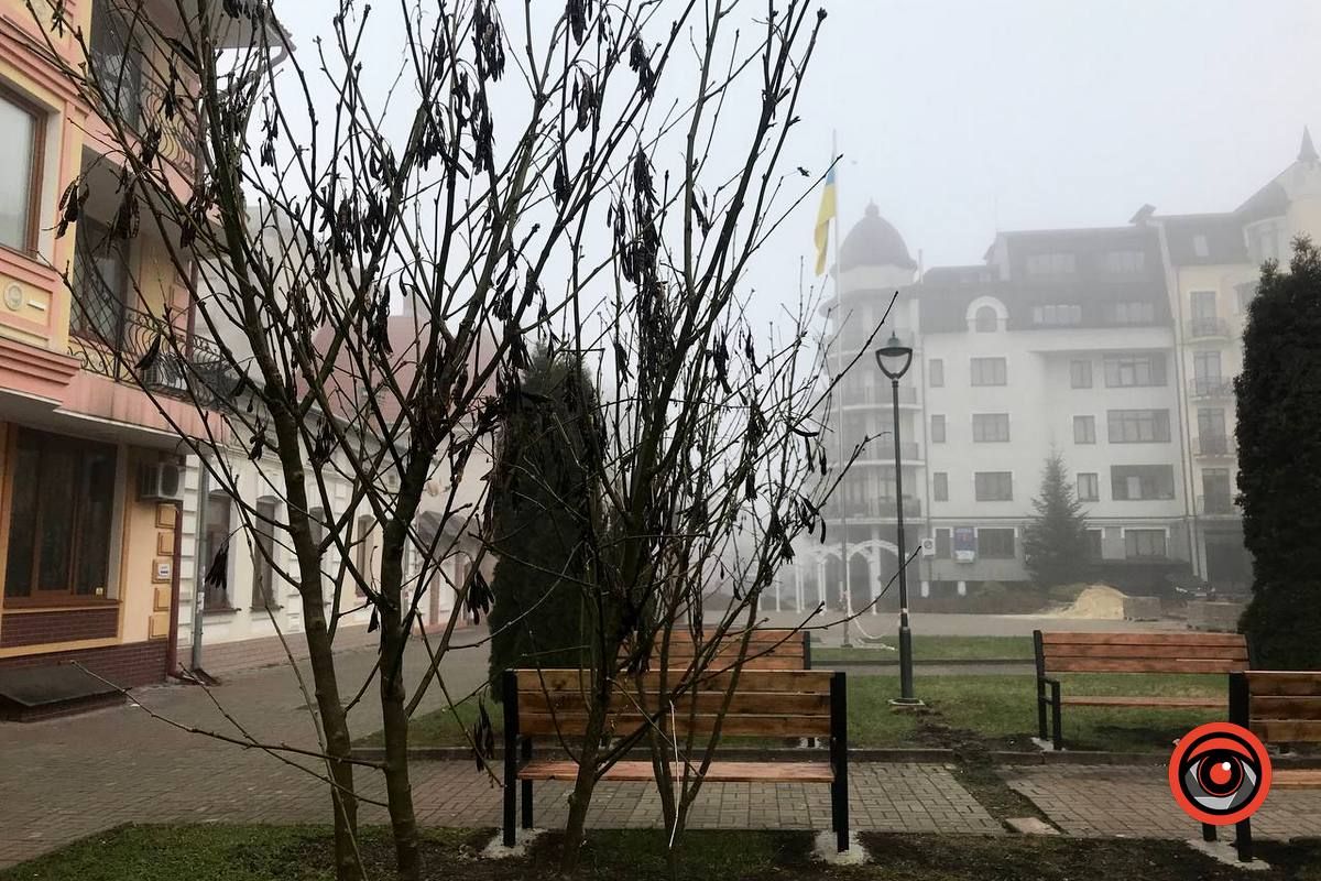 На Вічевому майдані висадили дерева 2