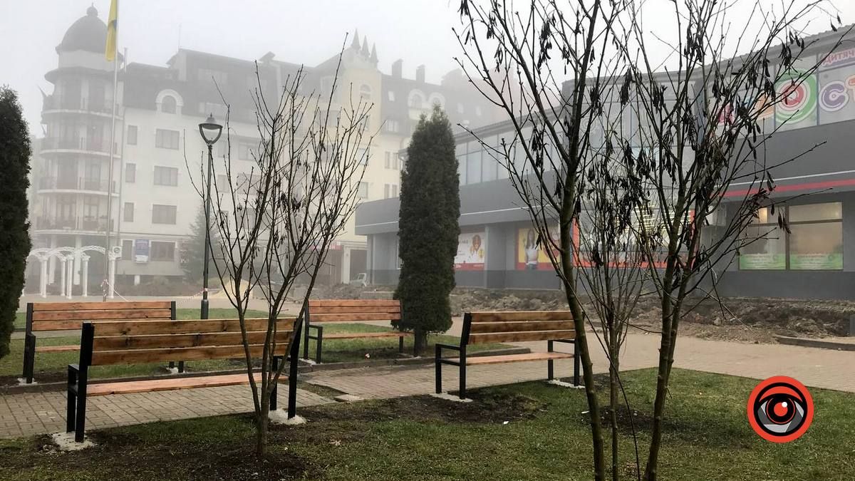 На Вічевому майдані висадили дерева 1