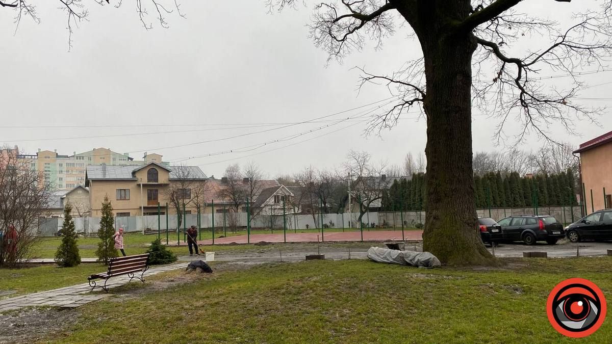 Зрізали й сліду не лишилось: на подвір'ї школи №10 мінус 1 дерево (фотофакт) 2