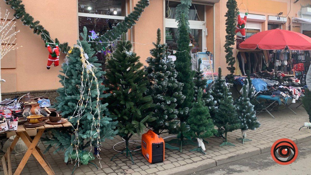 За скільки продають ялинки у Коломиї? 2
