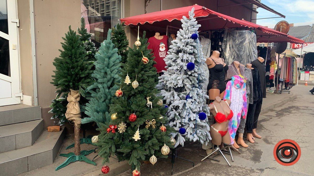 За скільки продають ялинки у Коломиї? 1