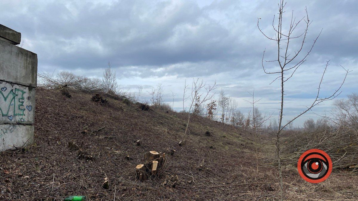 Як зараз виглядає Шевченківське озеро у Коломиї? 2