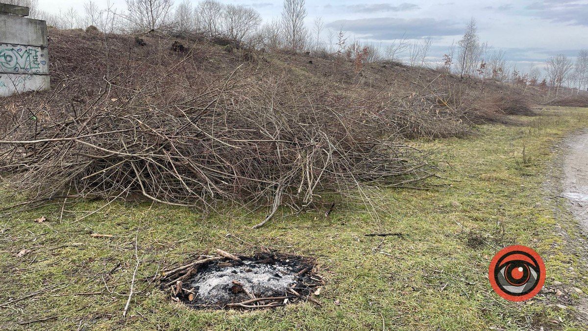 Як зараз виглядає Шевченківське озеро у Коломиї? 4