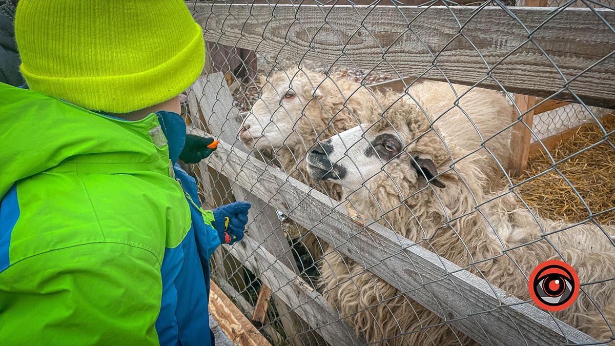 Як коломийська дітвора Миколая зустрічала 18