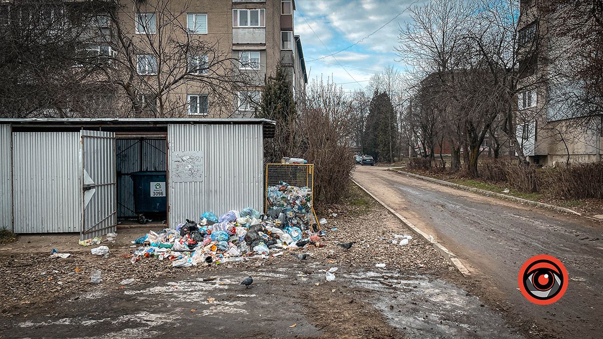 Сміттєзвалище біля смітника: що твориться на вулиці Богуна? 5