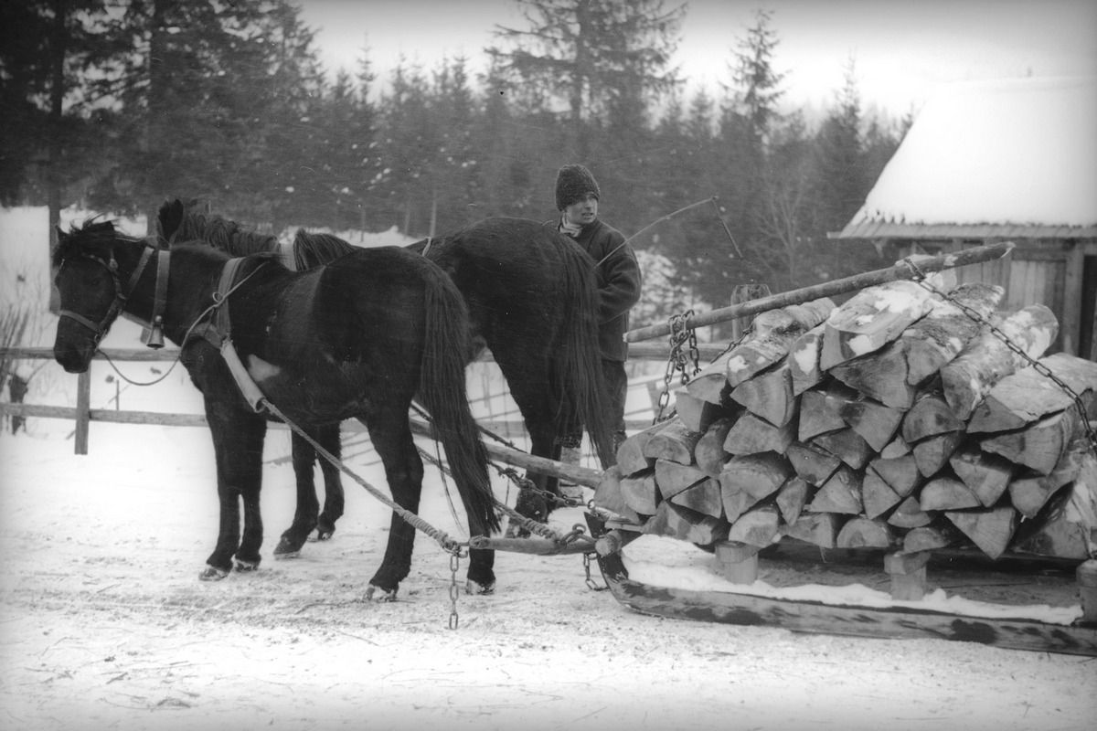 Сторічні зимові фото Ворохти, Татарова і Верховини / Жаб'є 16