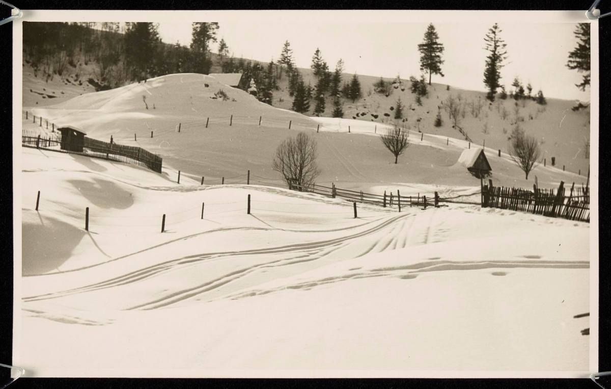 Сторічні зимові фото Ворохти, Татарова і Верховини / Жаб'є 41