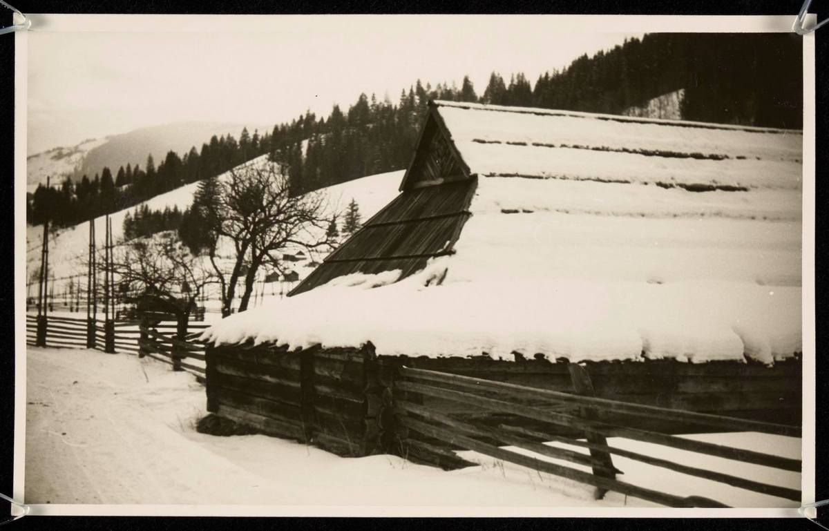 Сторічні зимові фото Ворохти, Татарова і Верховини / Жаб'є 37