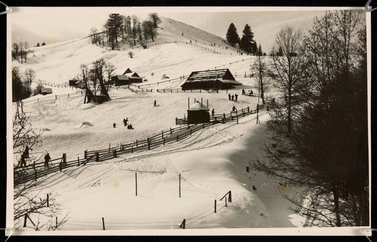 Сторічні зимові фото Ворохти, Татарова і Верховини / Жаб'є 36