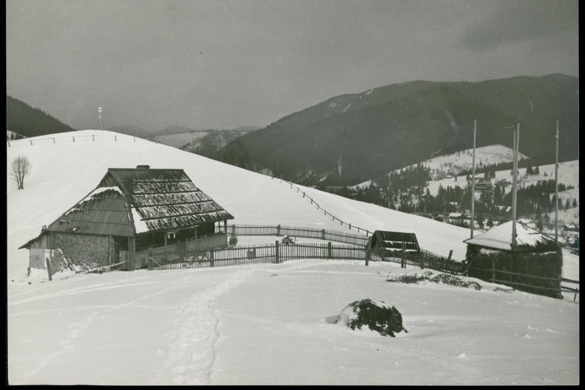 Сторічні зимові фото Ворохти, Татарова і Верховини / Жаб'є 31