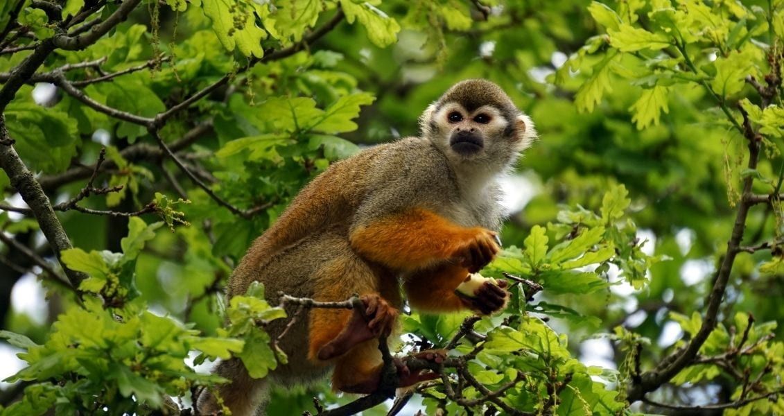 14 грудня: який сьогодні день 2
