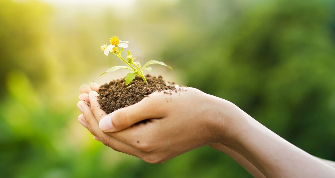 День оладок, баскетболу та бритви: яке свято 2 грудня 1