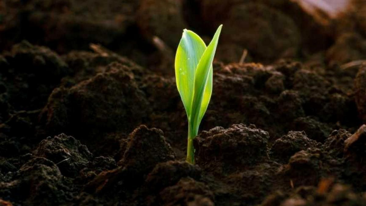 Цікаві свята 5 грудня в Україні та світі 2