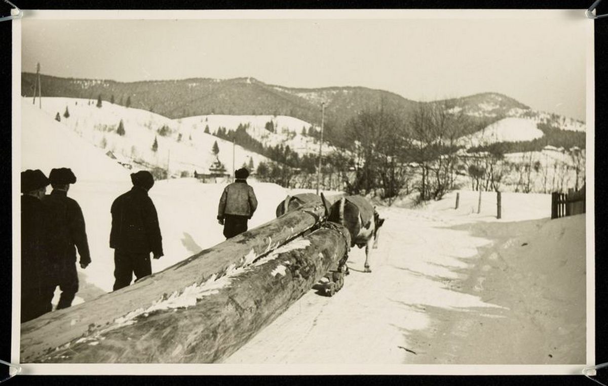 Сторічні зимові фото Ворохти, Татарова і Верховини / Жаб'є 3