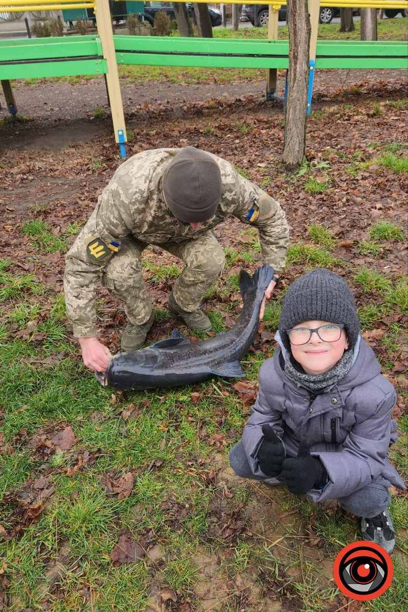 На міському озері в Коломиї вполювали 20-кілограмову рибину 1