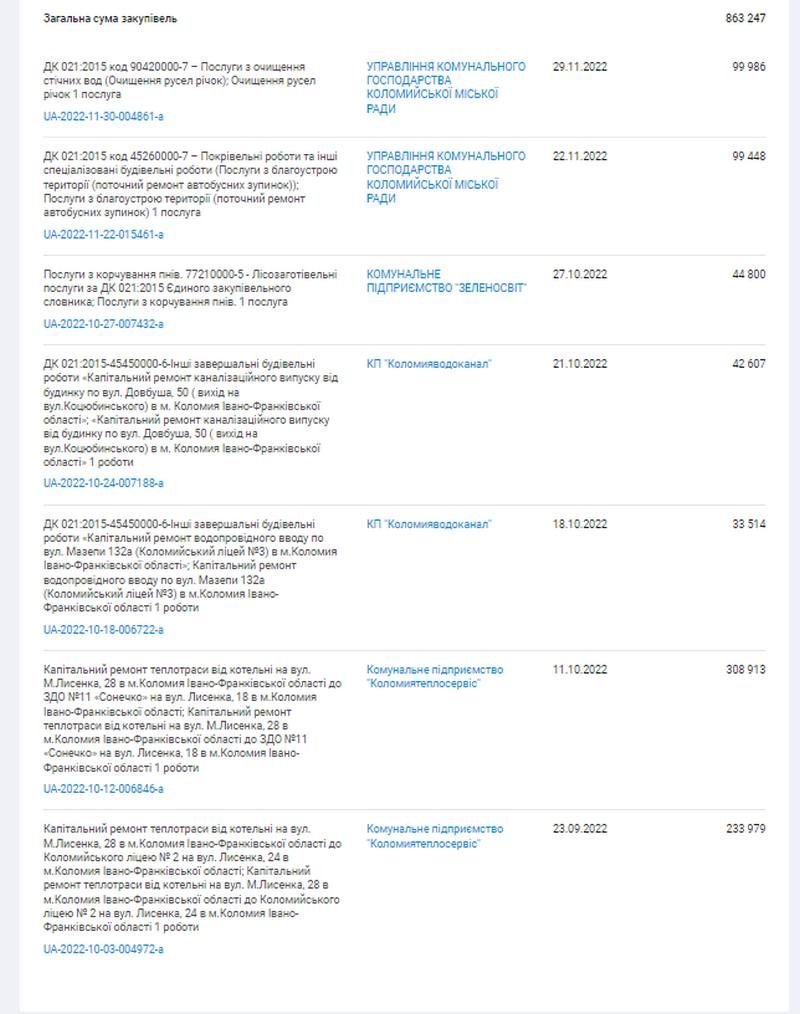 У міському парку Коломиї - траншеї й вирви 3