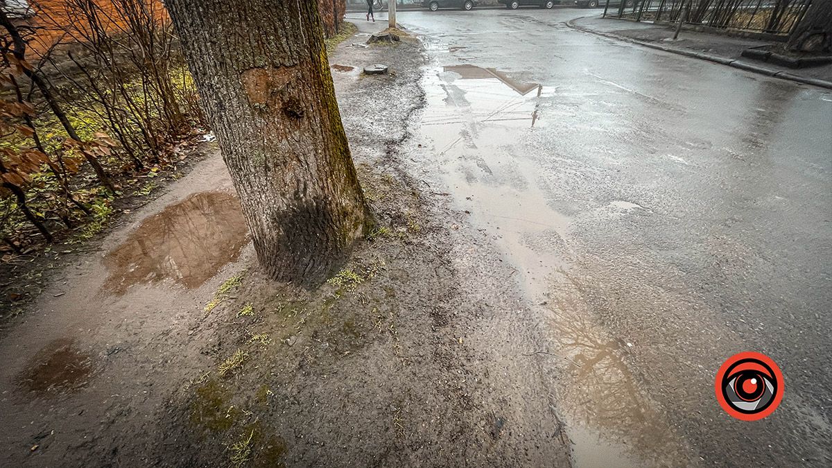 До тротуару руки влади не доходять: на частині вул. Тарабалки заболочена пішохідна зона 9