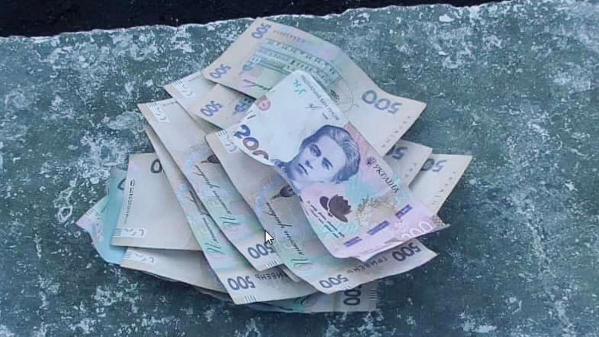 У Коломийській громаді перехожі допомогли затримати автомобільного злодія 1