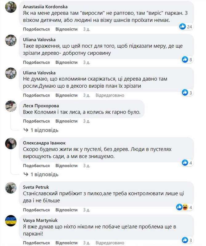 Що робити із деревами на тротуарі по вул. Петлюри? Думка коломиян 1