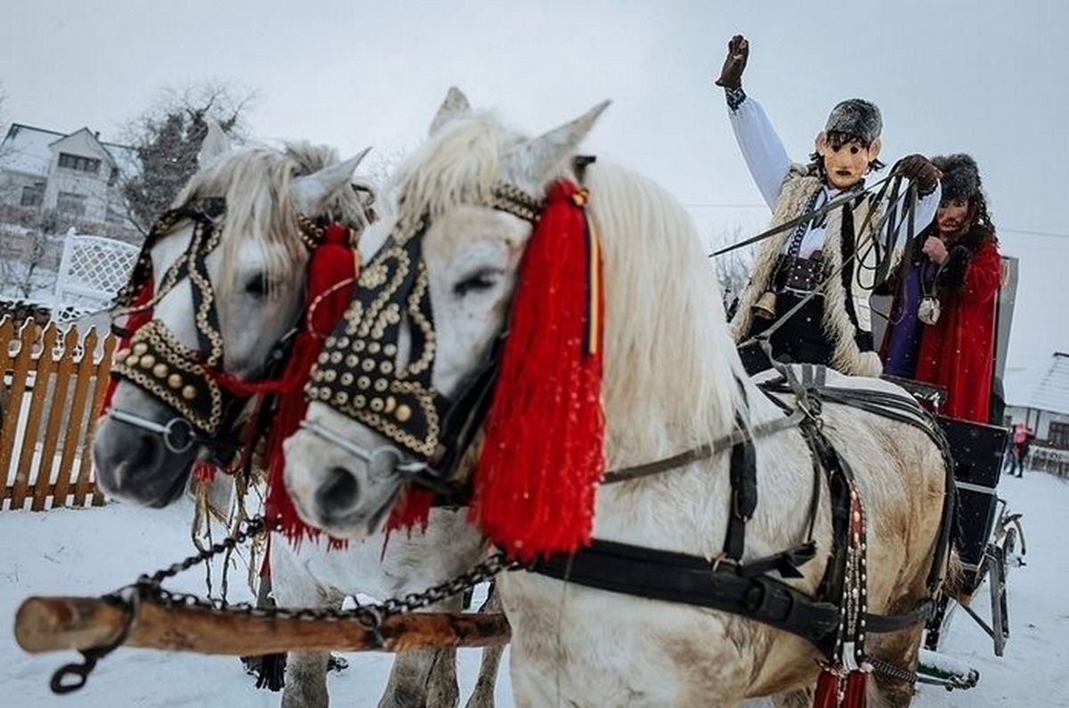 Знамениті Пістинська та Космацька Маланки цього року відміняються 2