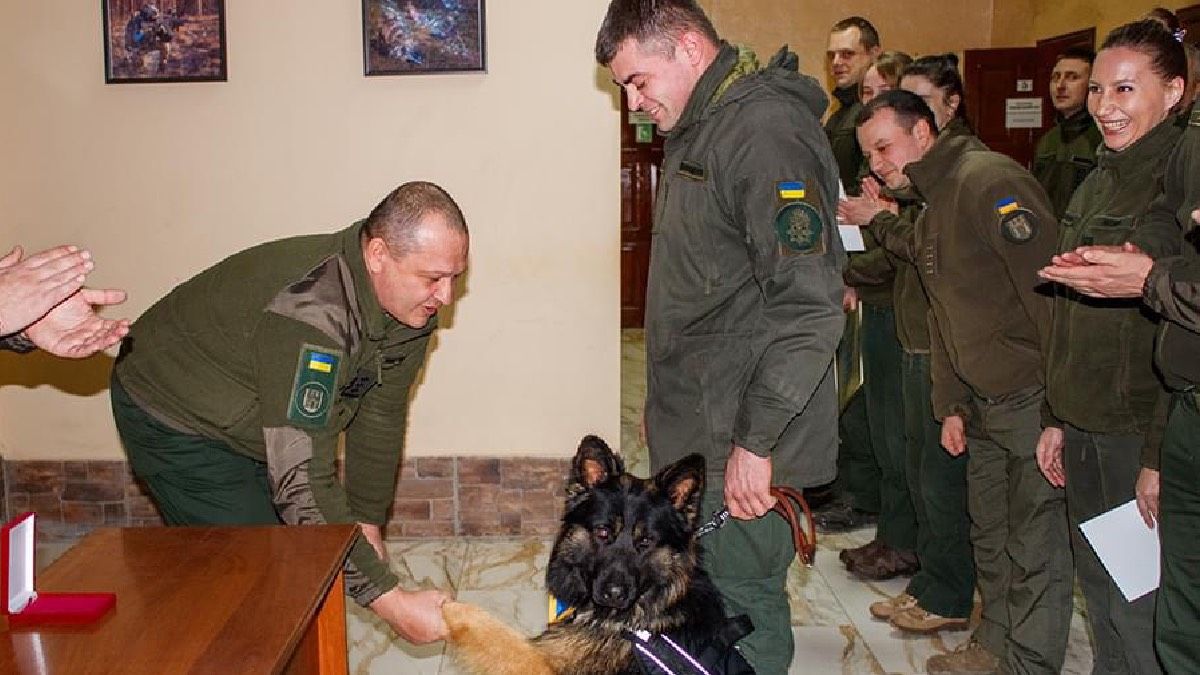 Гвардійська вівчарка зі своїм кінологом не дала злодію вкрасти сумку в прикарпатки