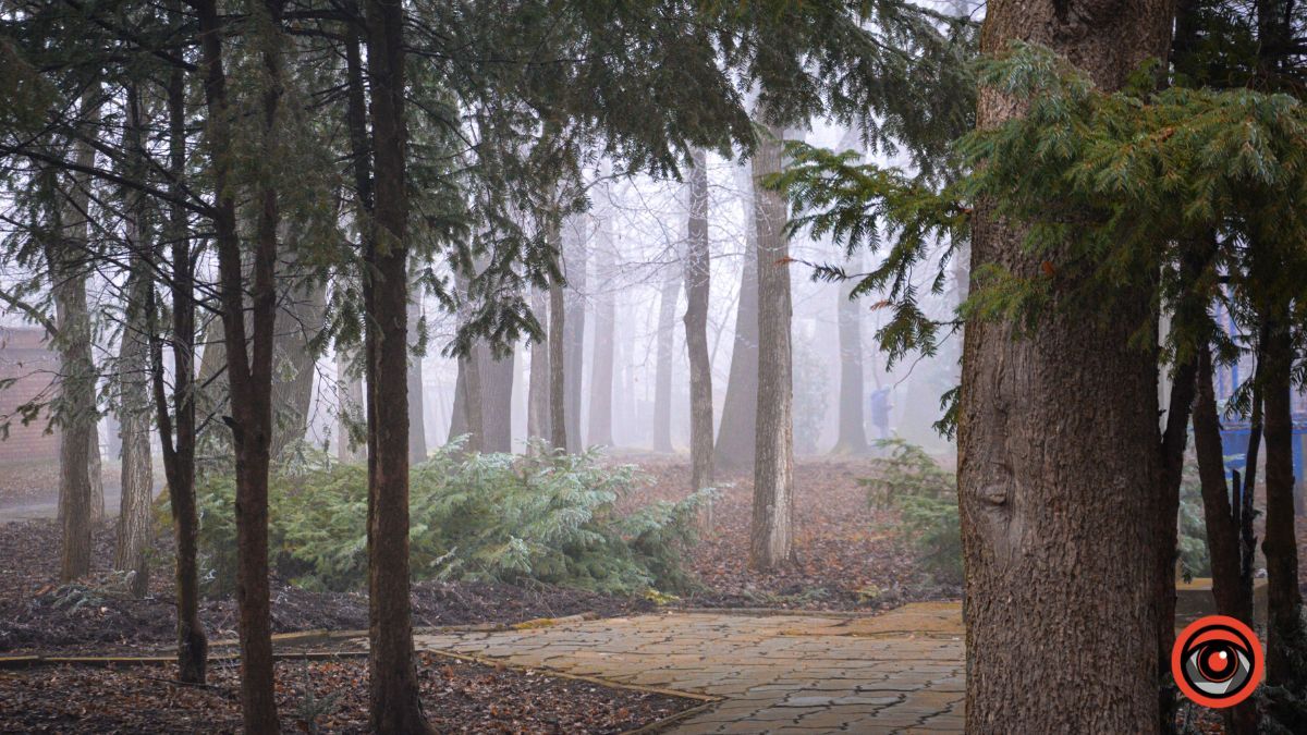 Нуарний бульвар у Коломиї | Фоторепортаж 25