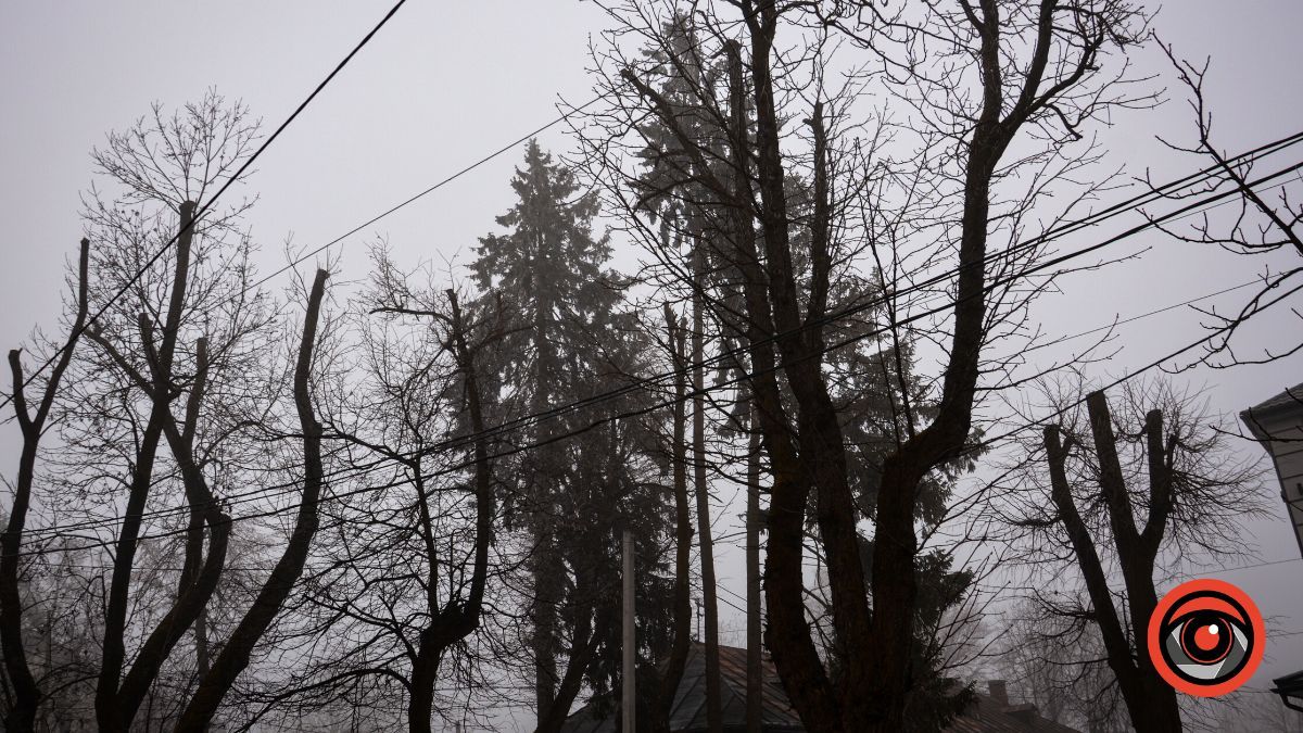 Нуарний бульвар у Коломиї | Фоторепортаж 17