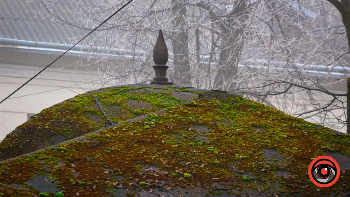 Нуарний бульвар у Коломиї | Фоторепортаж 7