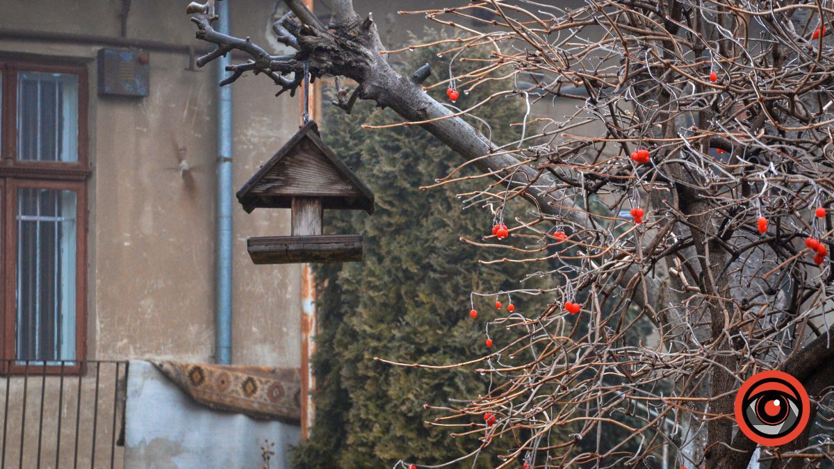 Нуарний бульвар у Коломиї | Фоторепортаж 6