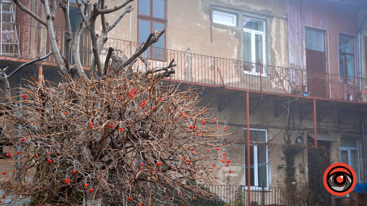 Нуарний бульвар у Коломиї | Фоторепортаж 5