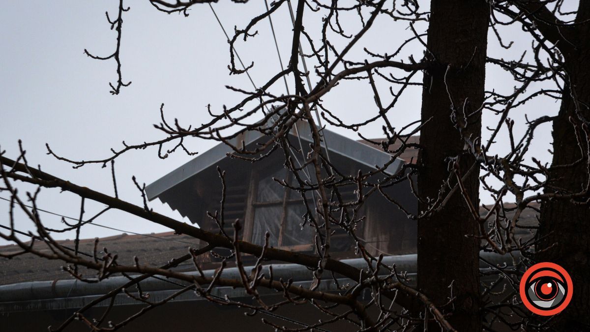 Нуарний бульвар у Коломиї | Фоторепортаж 2