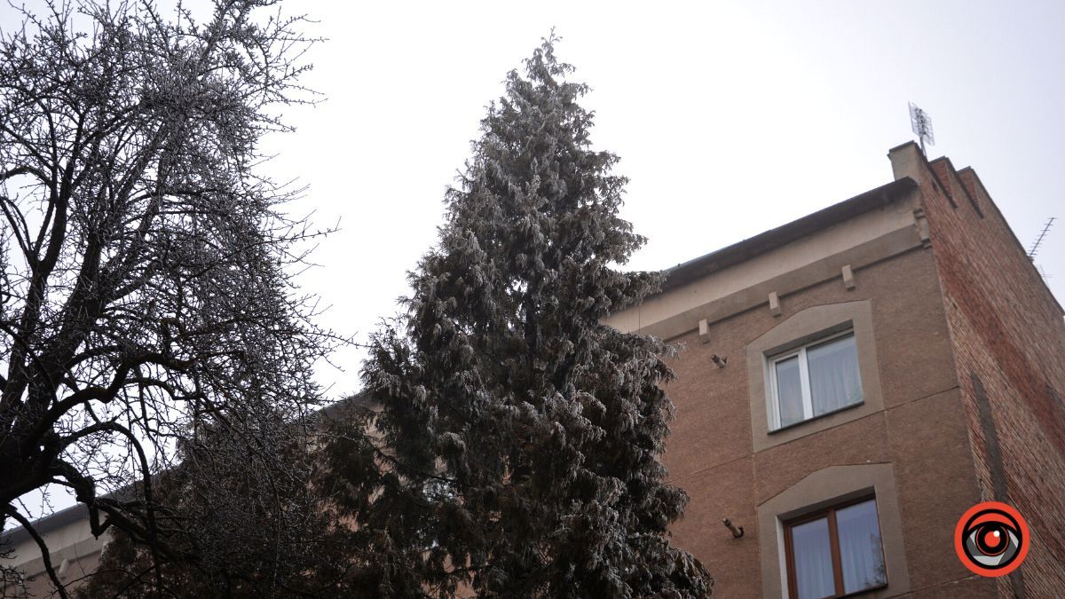 Нуарний бульвар у Коломиї | Фоторепортаж 23