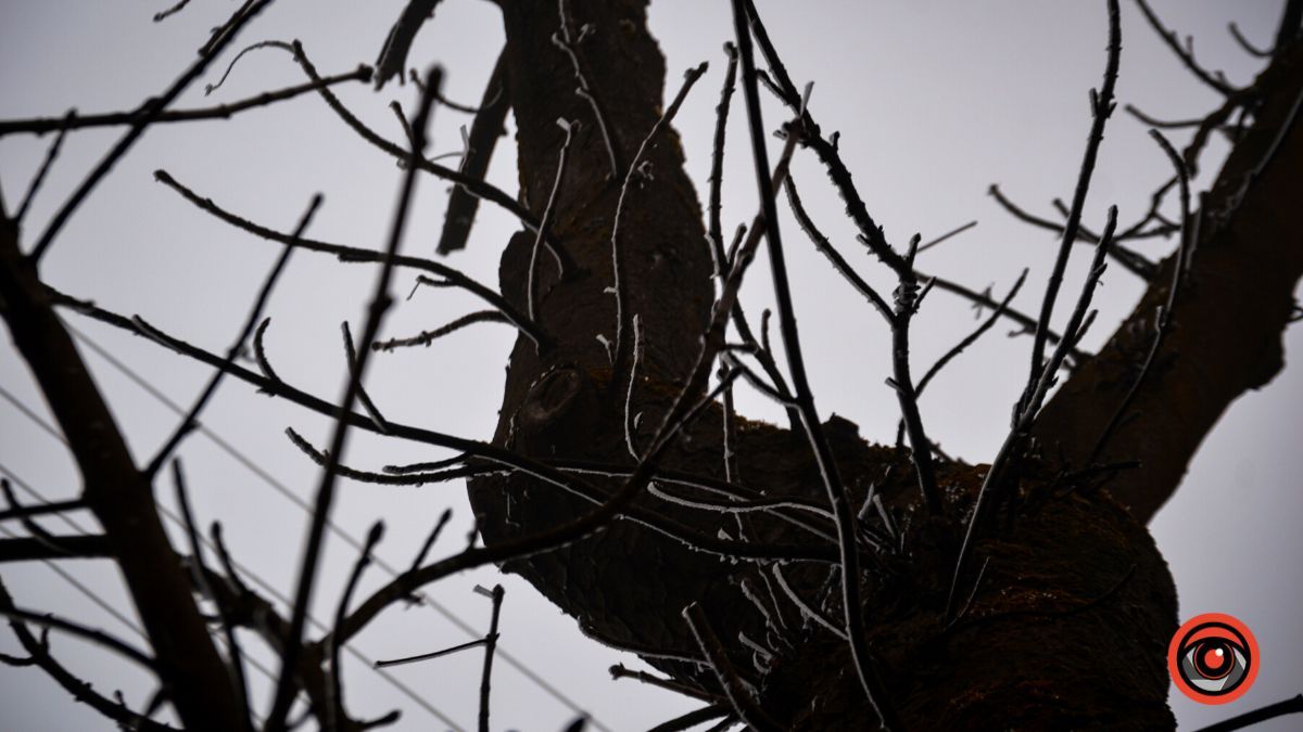 Нуарний бульвар у Коломиї | Фоторепортаж 21