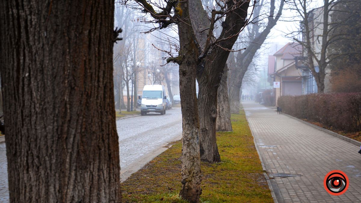 Нуарний бульвар у Коломиї | Фоторепортаж