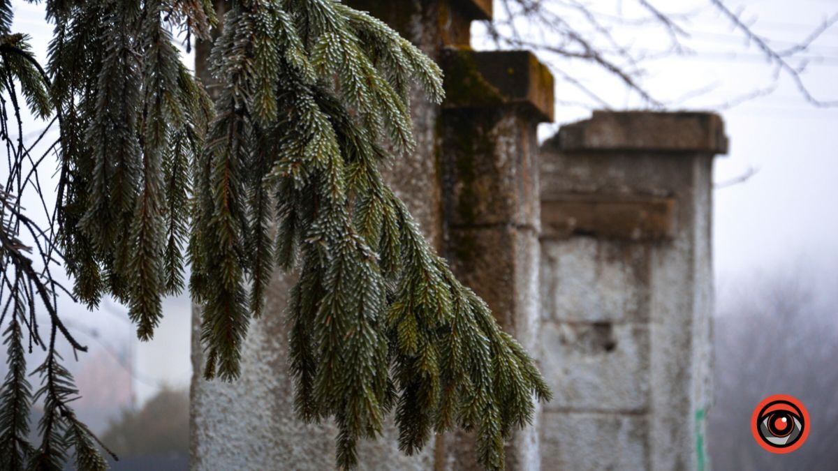 Нуарний бульвар у Коломиї | Фоторепортаж 26