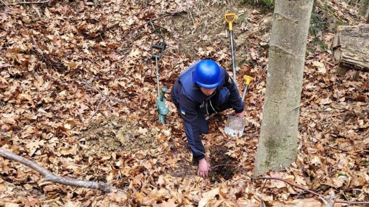 У лісі в Печеніжині знайшли 14 мінометних мін 1
