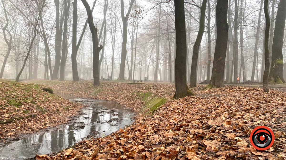 Коломия в грудні 2022 року | Фоторепортаж 10